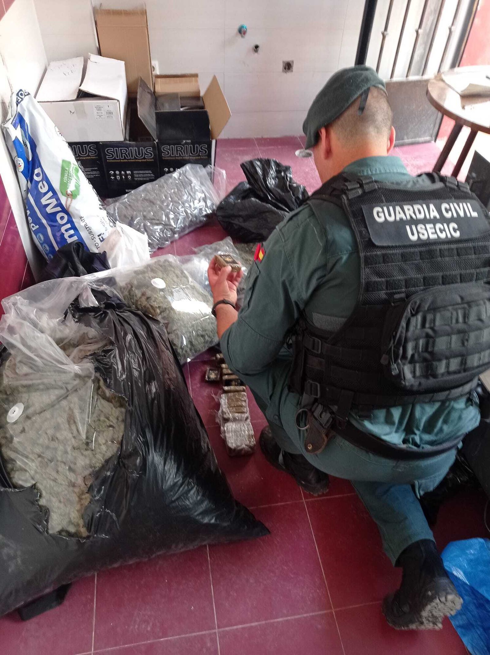Un agente de la Guardia Civil con parte de la marihuana incautada en Pinos Puente.