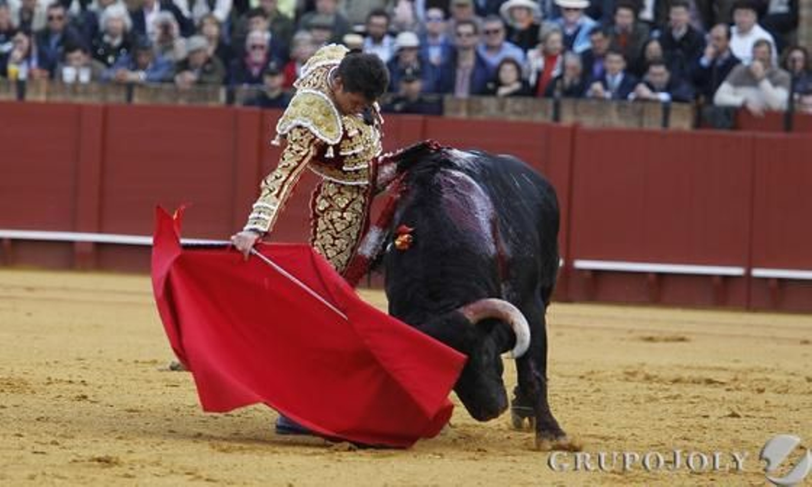 Daniel Luque. / Antonio Pizarro