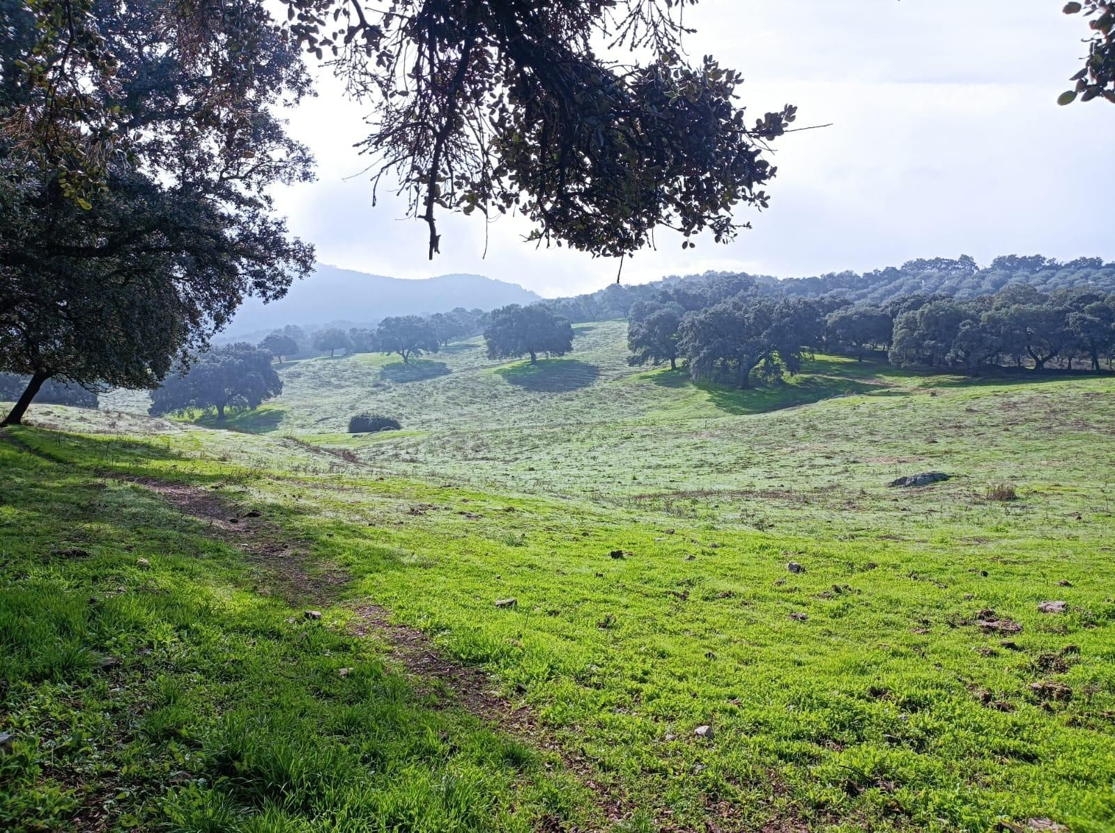 Este tramo es, sin duda, el más bonito de la ruta.