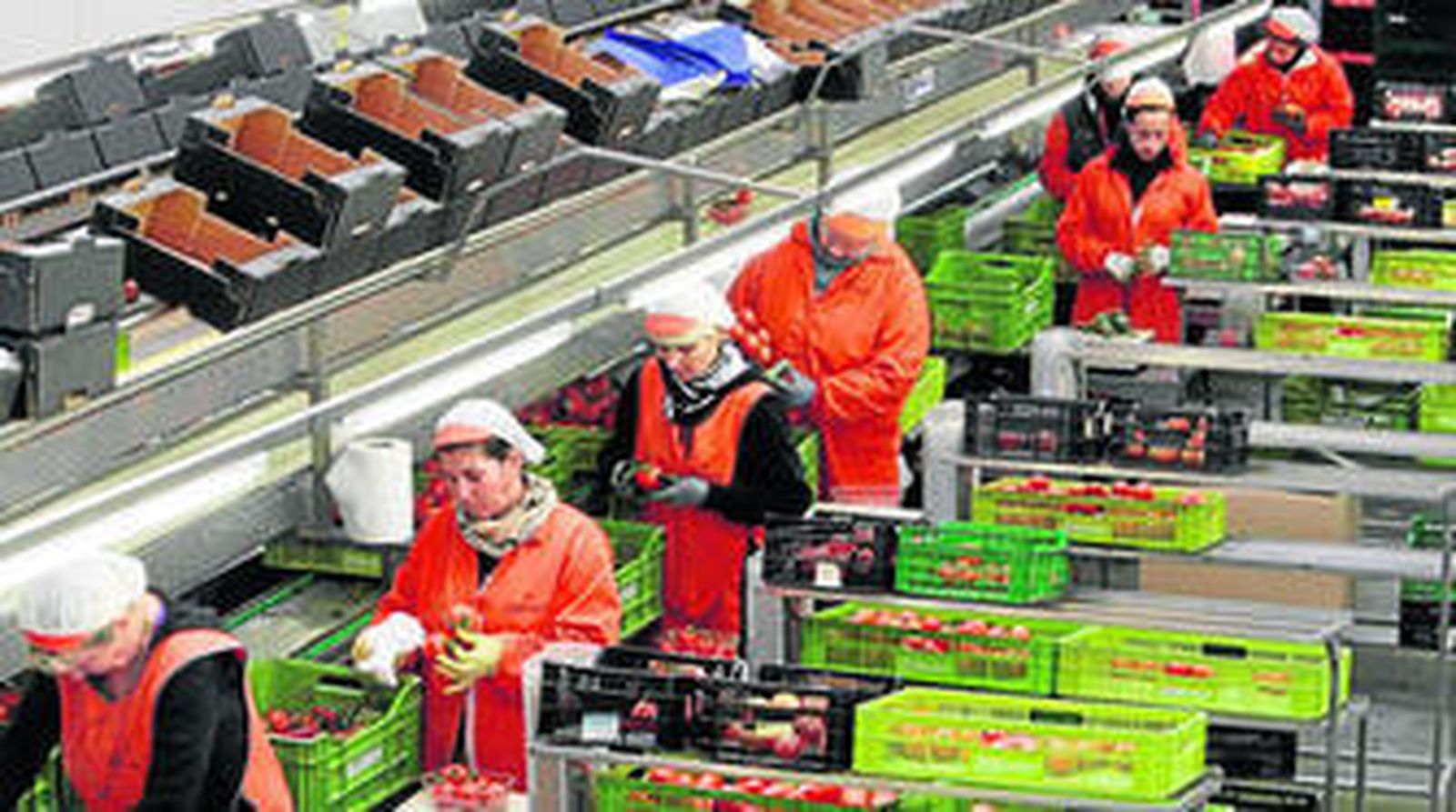 Biosabor posee su base de operaciones en Níjar, donde confecciona todos sus productos.