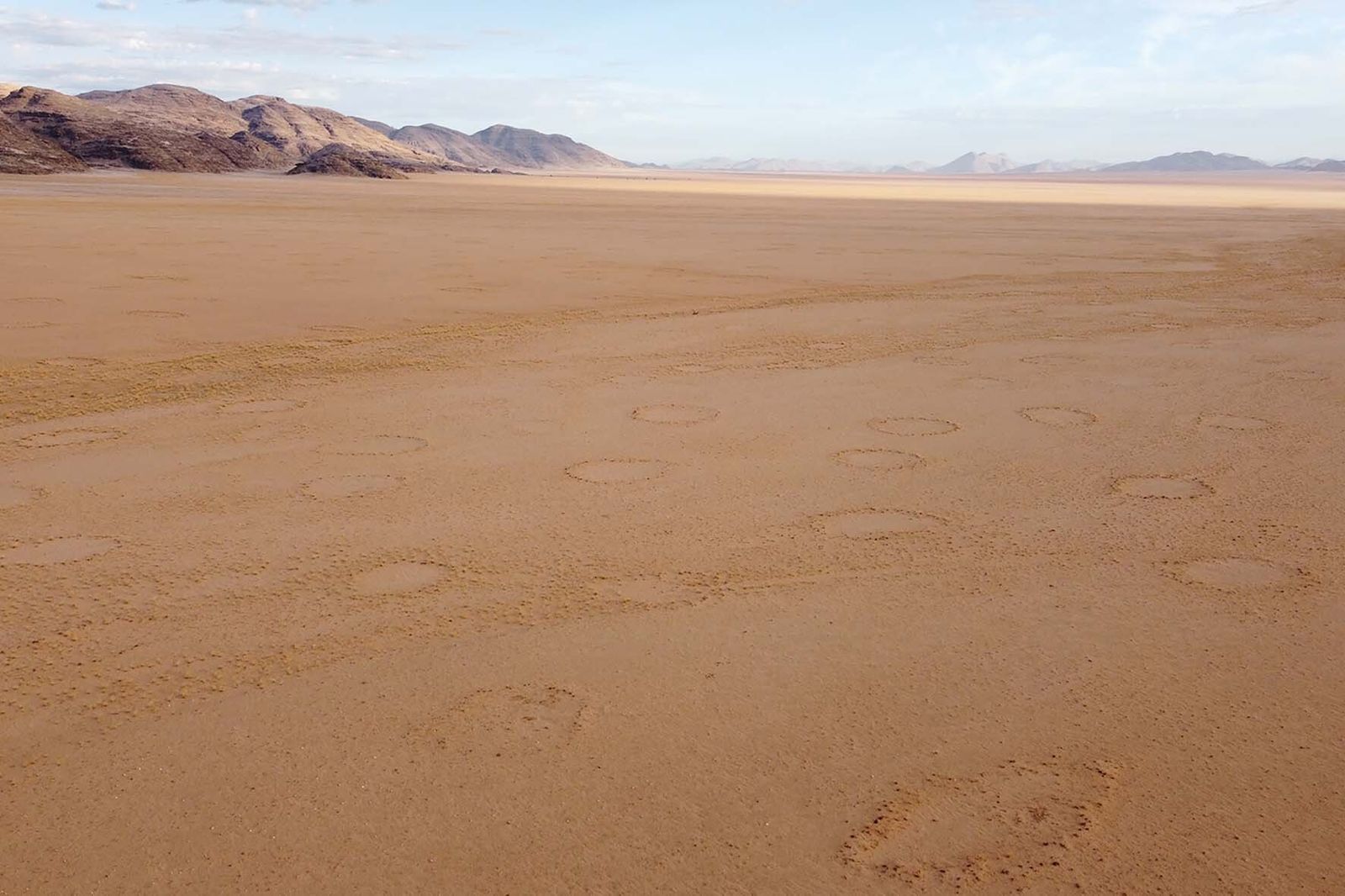 Círculos de hadas en una llanura de Namibia. Créditos de la fotografía: Audi Ekandjo
