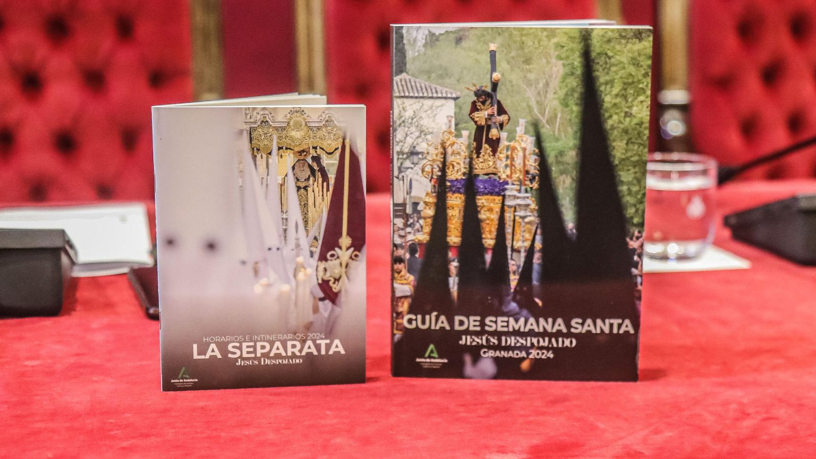 Guía y separata de la Hermandad de Jesús Despojado