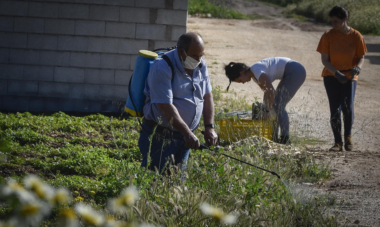 La resistencia en los pueblos de Sevilla al Coronavirus: Lantejuela