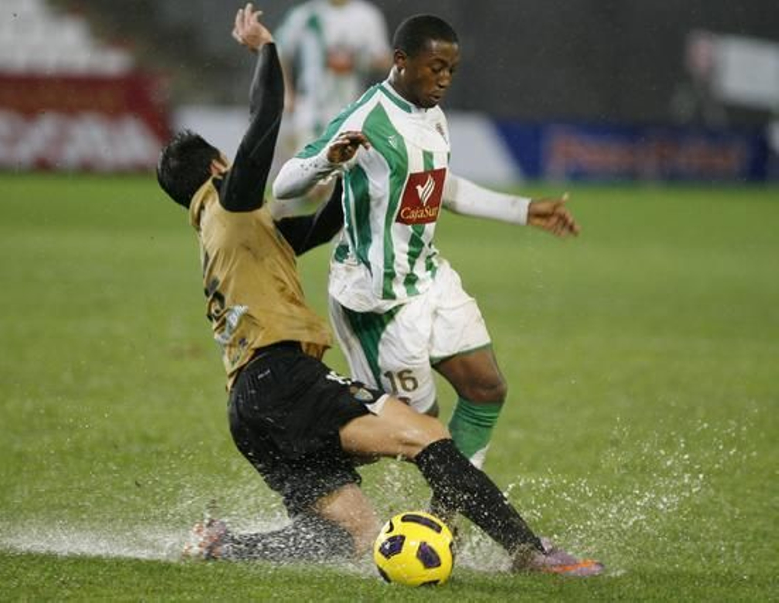 Foto: Alvaro Carmona