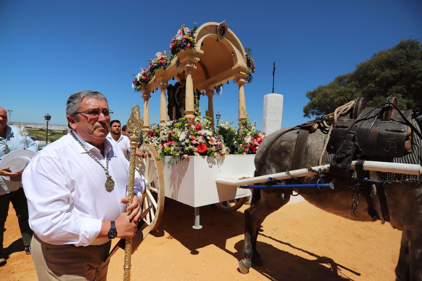 Imágenes de la presentación de las hermandades filiales ante la Virgen de Montemayor