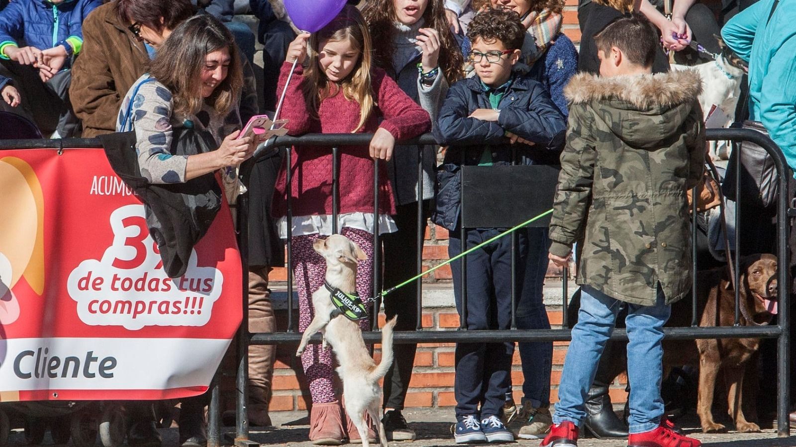 San Antón en el Parque Almirante Laulhé, en una imagen de archivo
