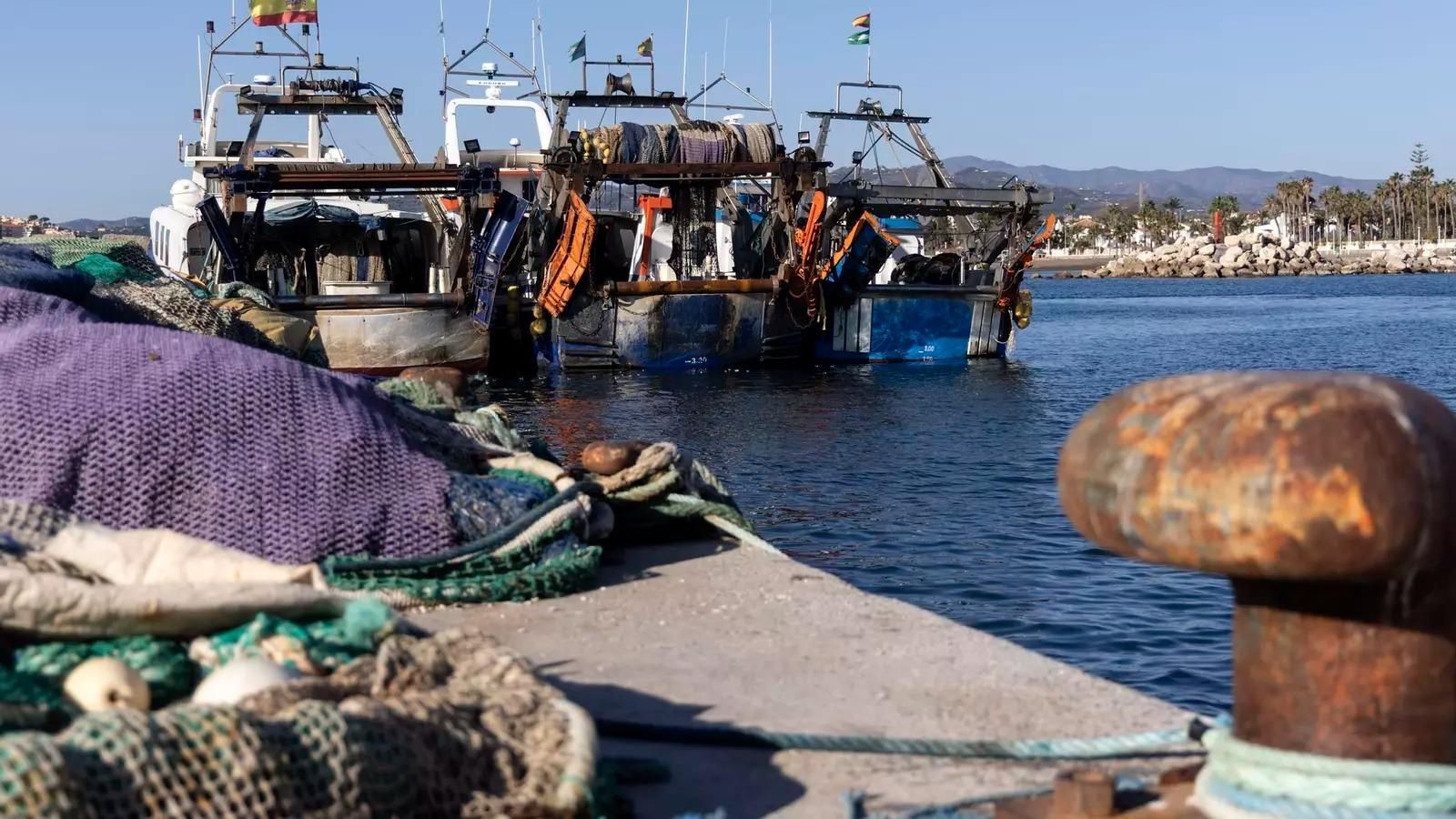 Barcos de pesca en un puerto de la provincia de Málaga.