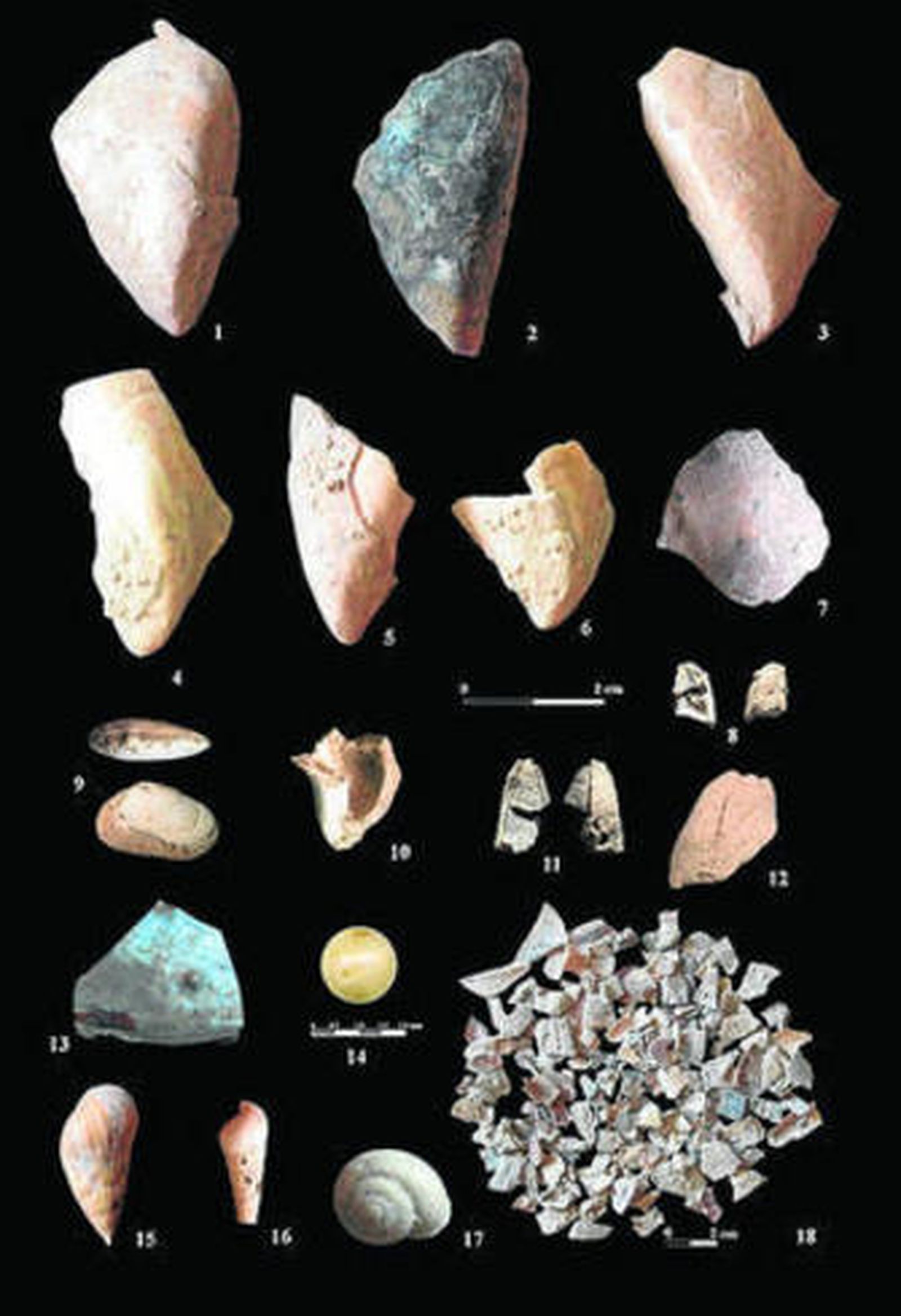 Las primeras mariscadas de la historia