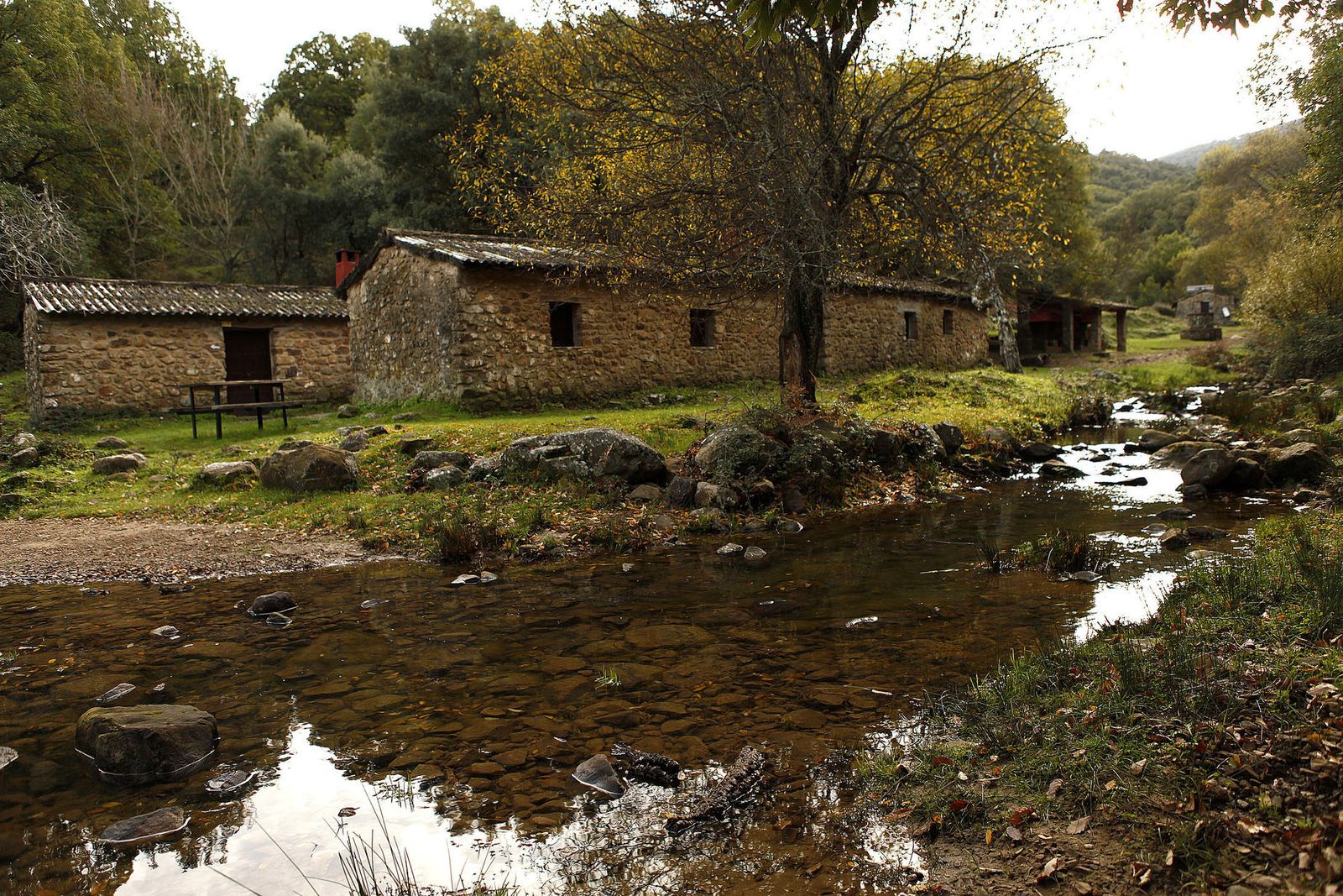 El Despoblado de La Sauceda.