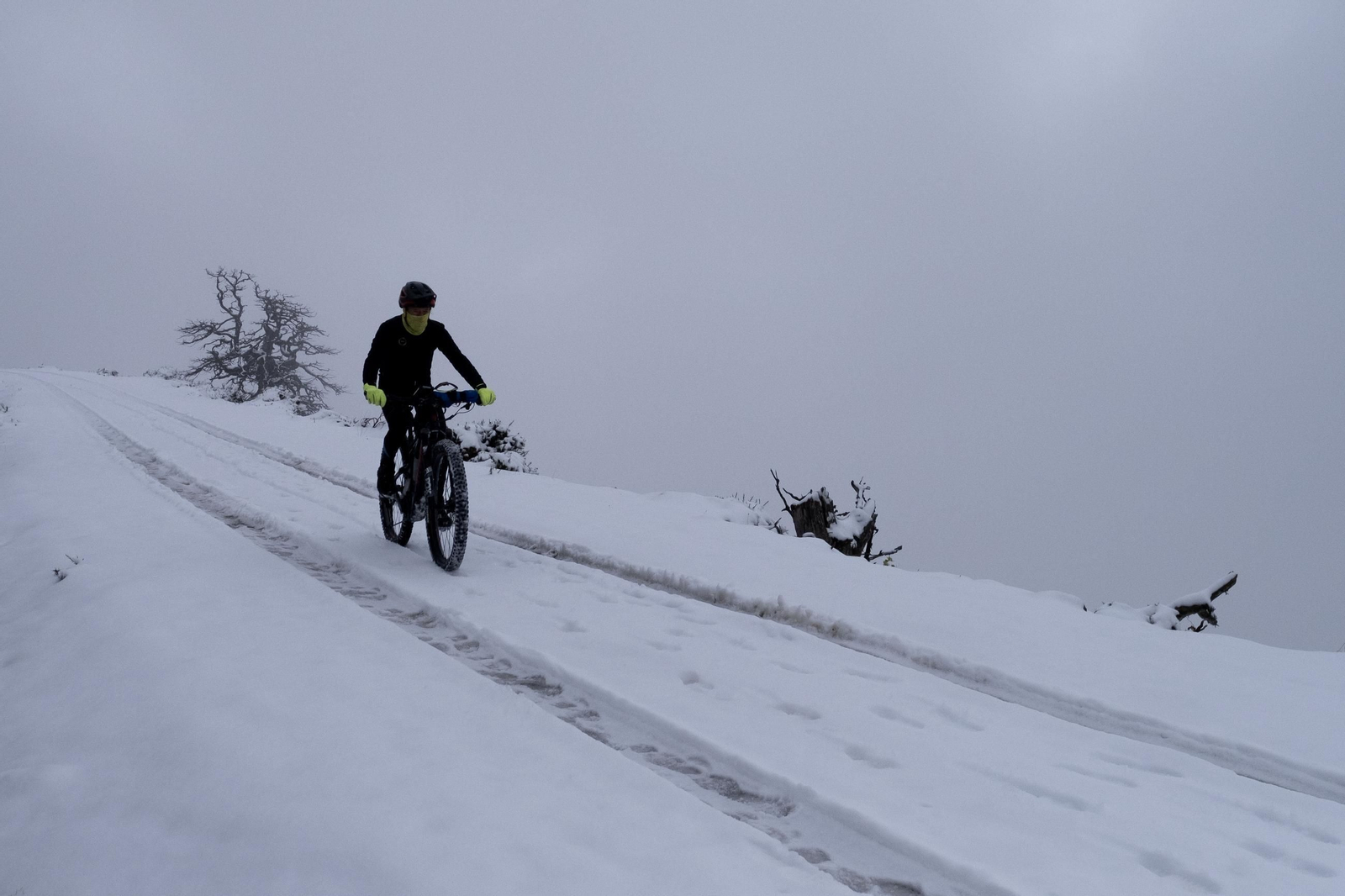 La ruta por la nieve en el Parque Nacional Sierra de las Nievas, en imágenes