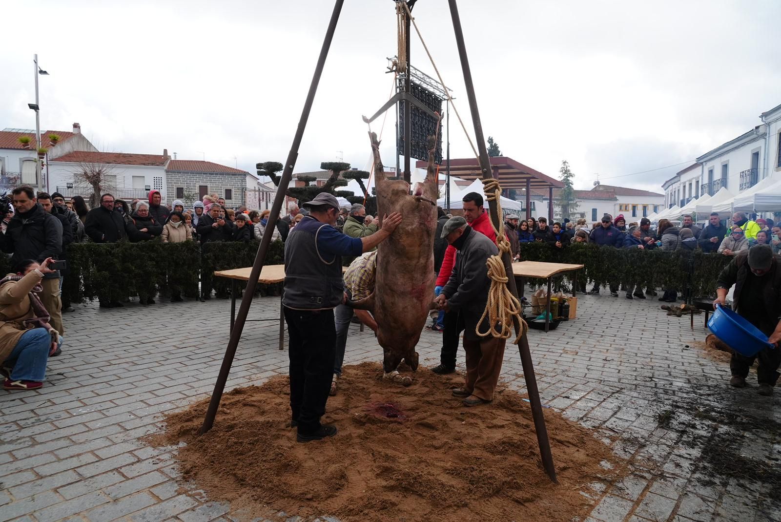 XX Fiesta de la Matanza de Alcaracejos