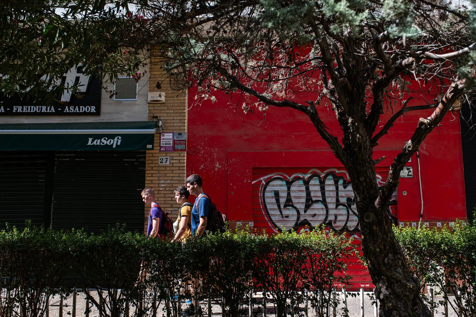 Una mañana en el barrio de Pino Montano
