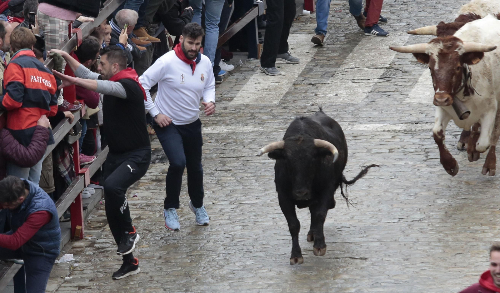 Las imágenes del encierro en La Puebla del Río