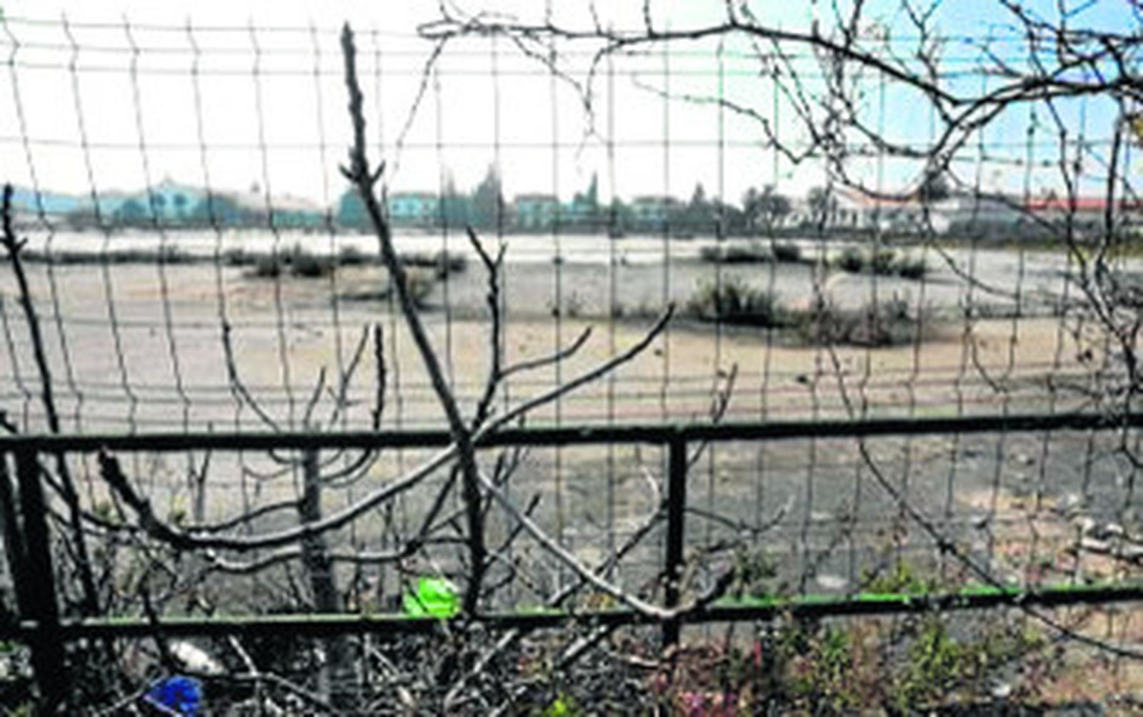 Con las puertas de casa al campo