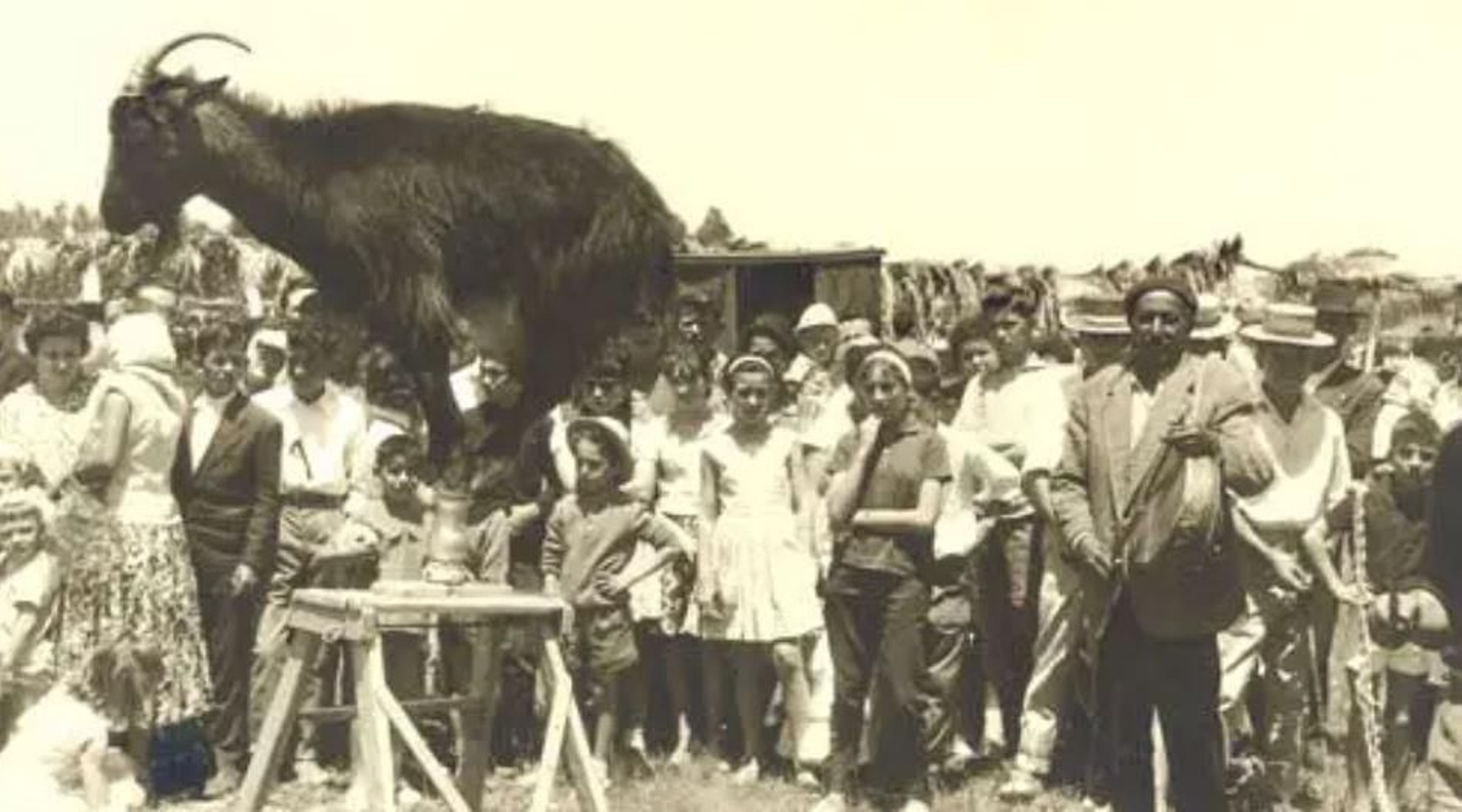 El show de la cabra, en el pago de El Palmar, en el año 1962.