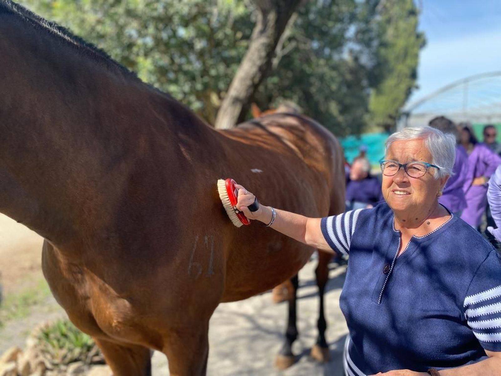 Los usuarios del centro de mayores disfrutaron de una jornada junto a los caballos.
