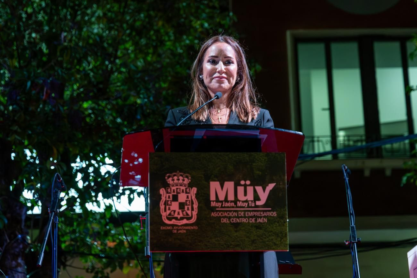 Inauguración en Jaén del alumbrado navideño "Centrylandia"