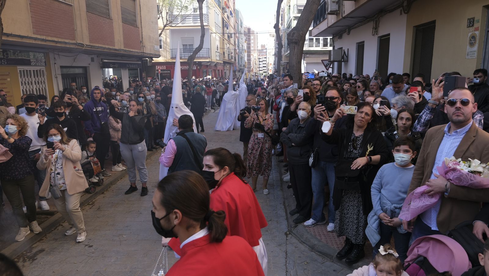 Fotogalería de la procesión de La Borriquita en Almería. Semana Santa 2022.