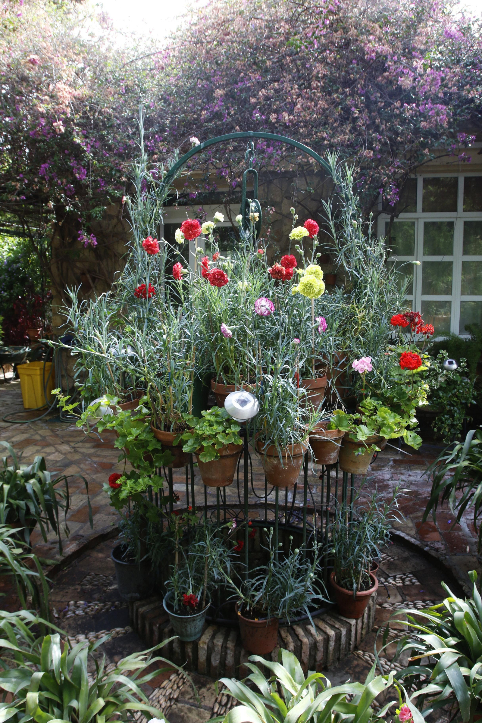Los Patios de Córdoba en tiempos de crisis: Plaza de las Tazas, 11