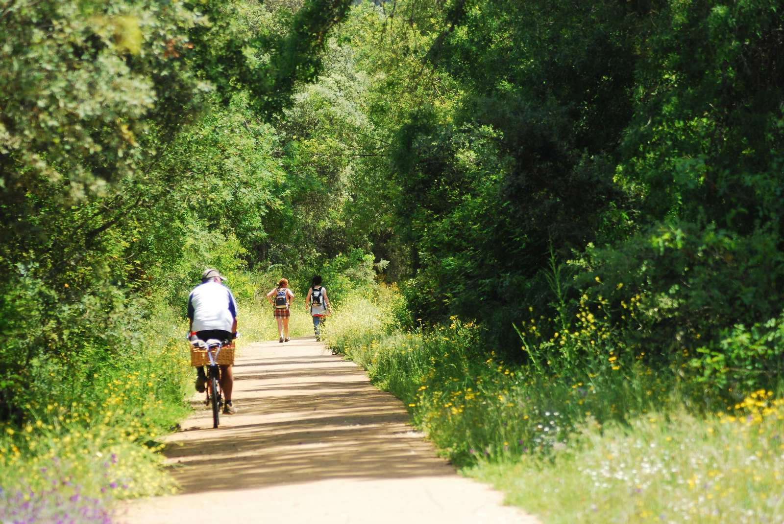 La práctica de deportes en plena naturaleza atrae a miles de visitantes hasta la vía verde de la Sierra Norte de Sevilla.