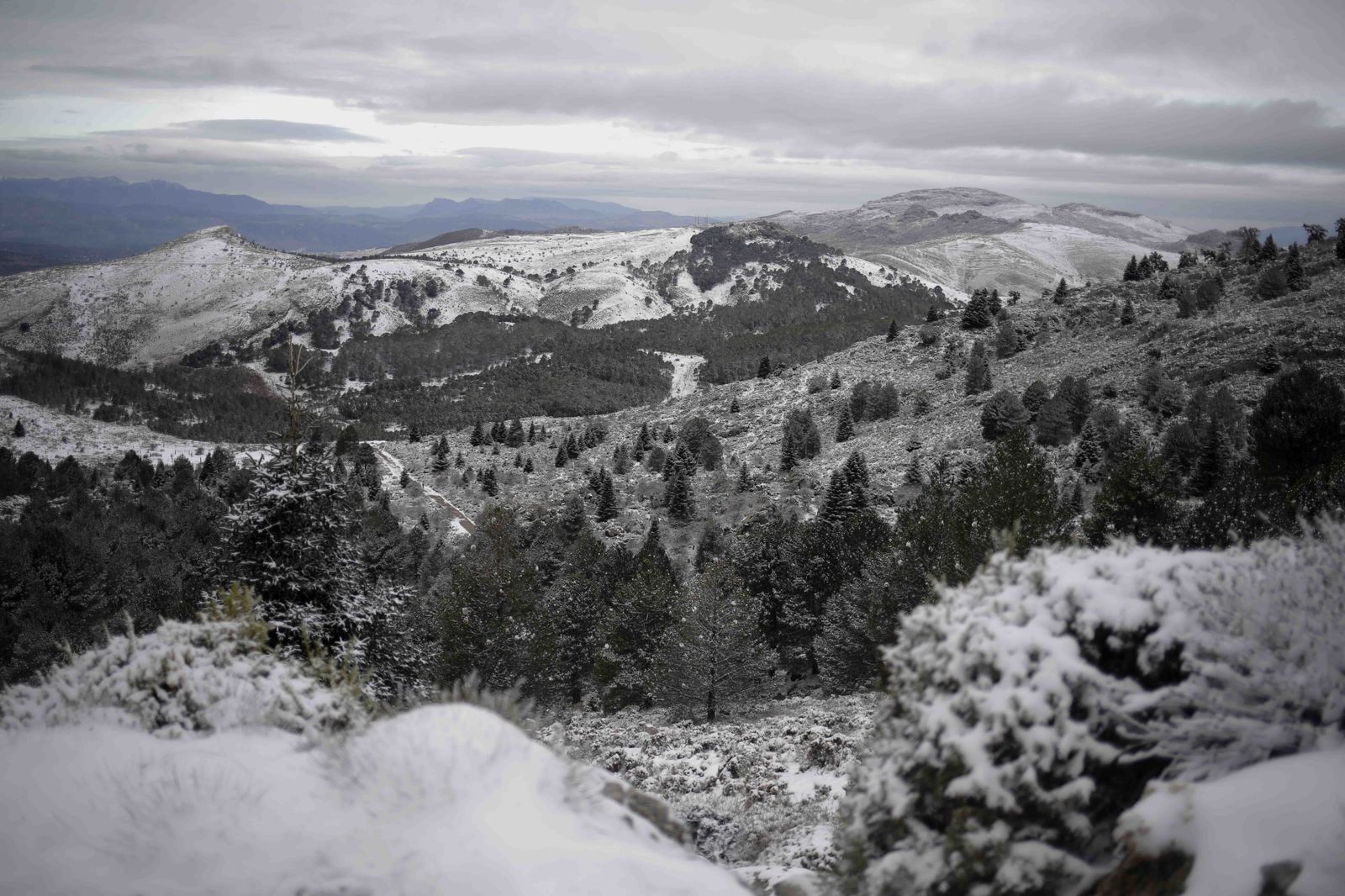 La excursiones a los parajes nevados de Málaga, en imágenes
