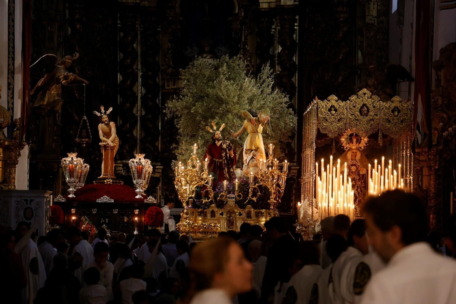 Intimidad en San Francisco con el Huerto en este Domingo de Ramos en Córdoba, en imágenes