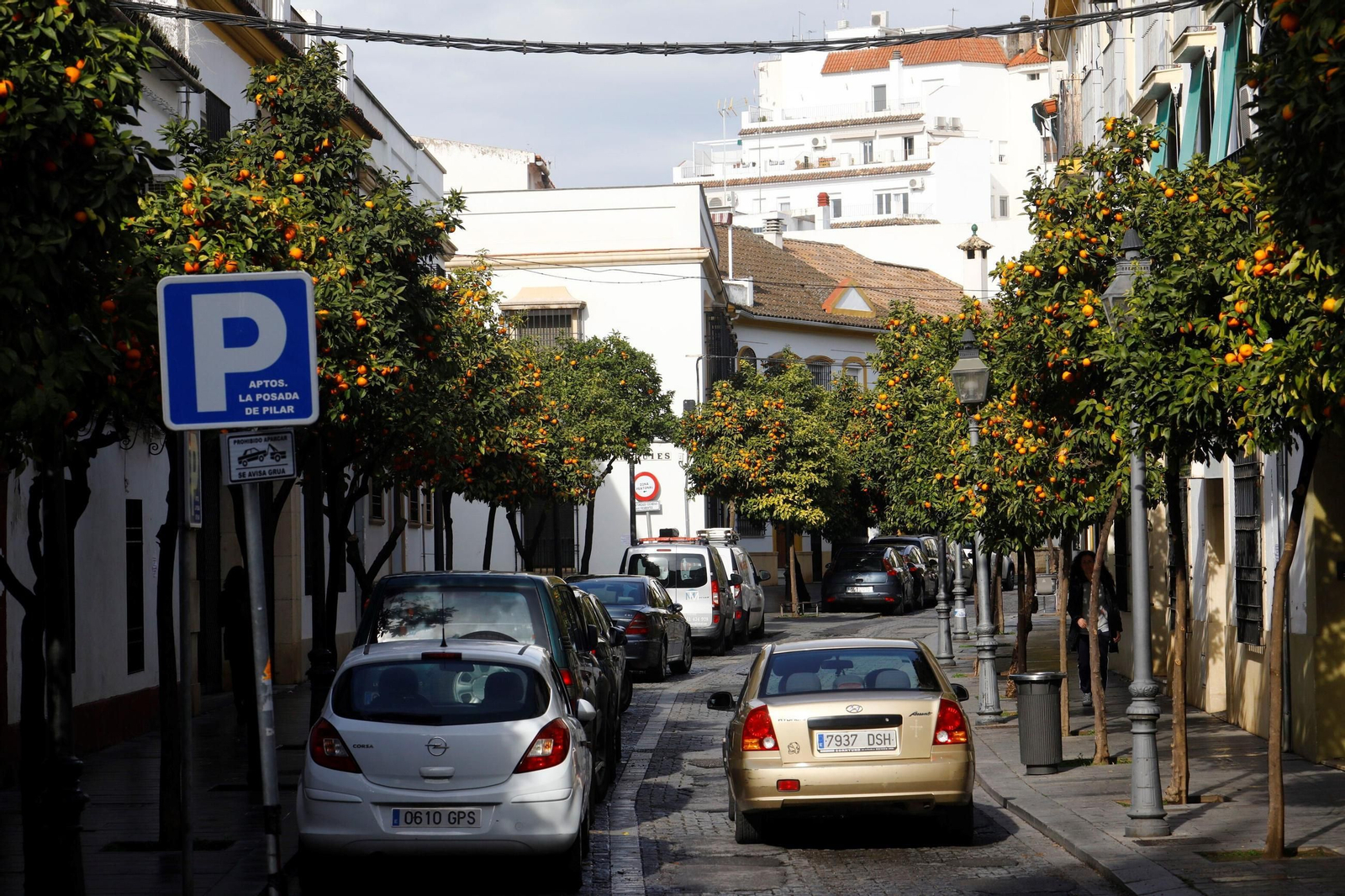Un paseo en imágenes por el barrio de Santa Marina en pleno invierno