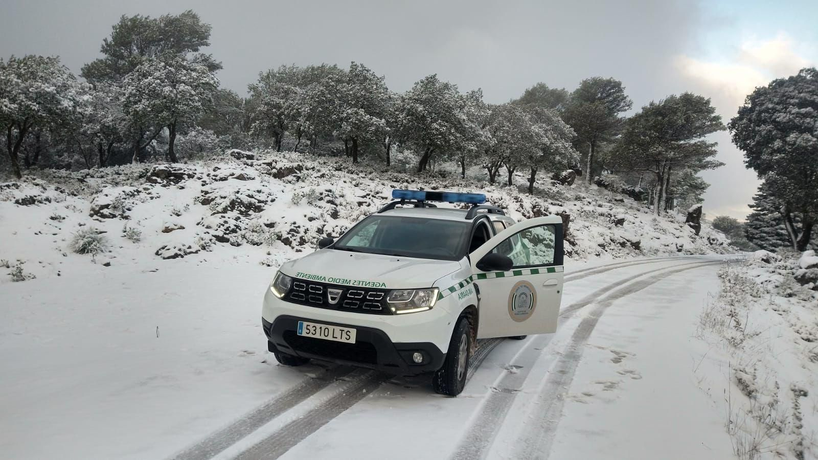 Las fotos de la nieve que cubre Málaga este lunes