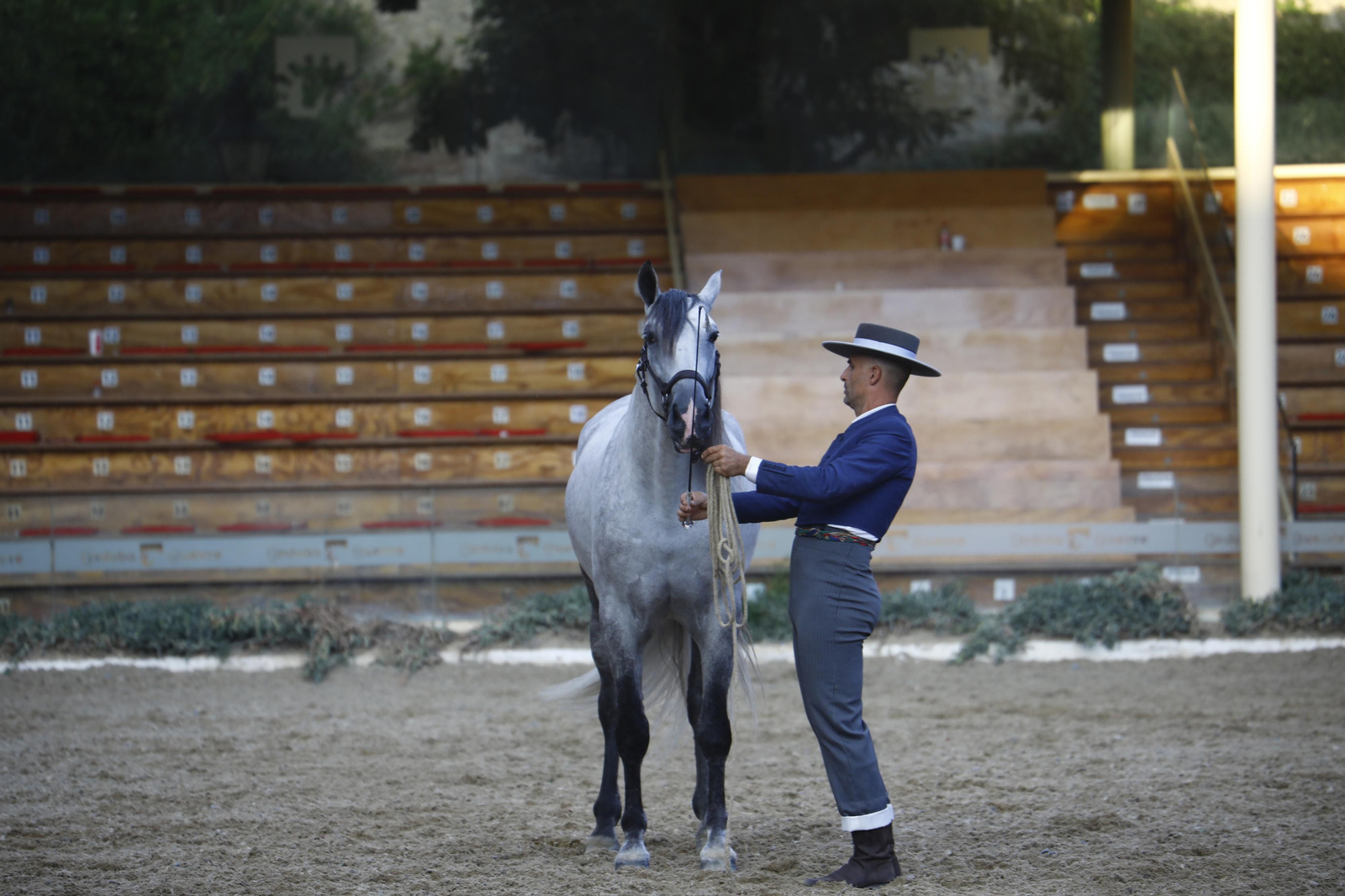 El concurso morfológico de caballos de pura raza de Cabalcor, en fotografías
