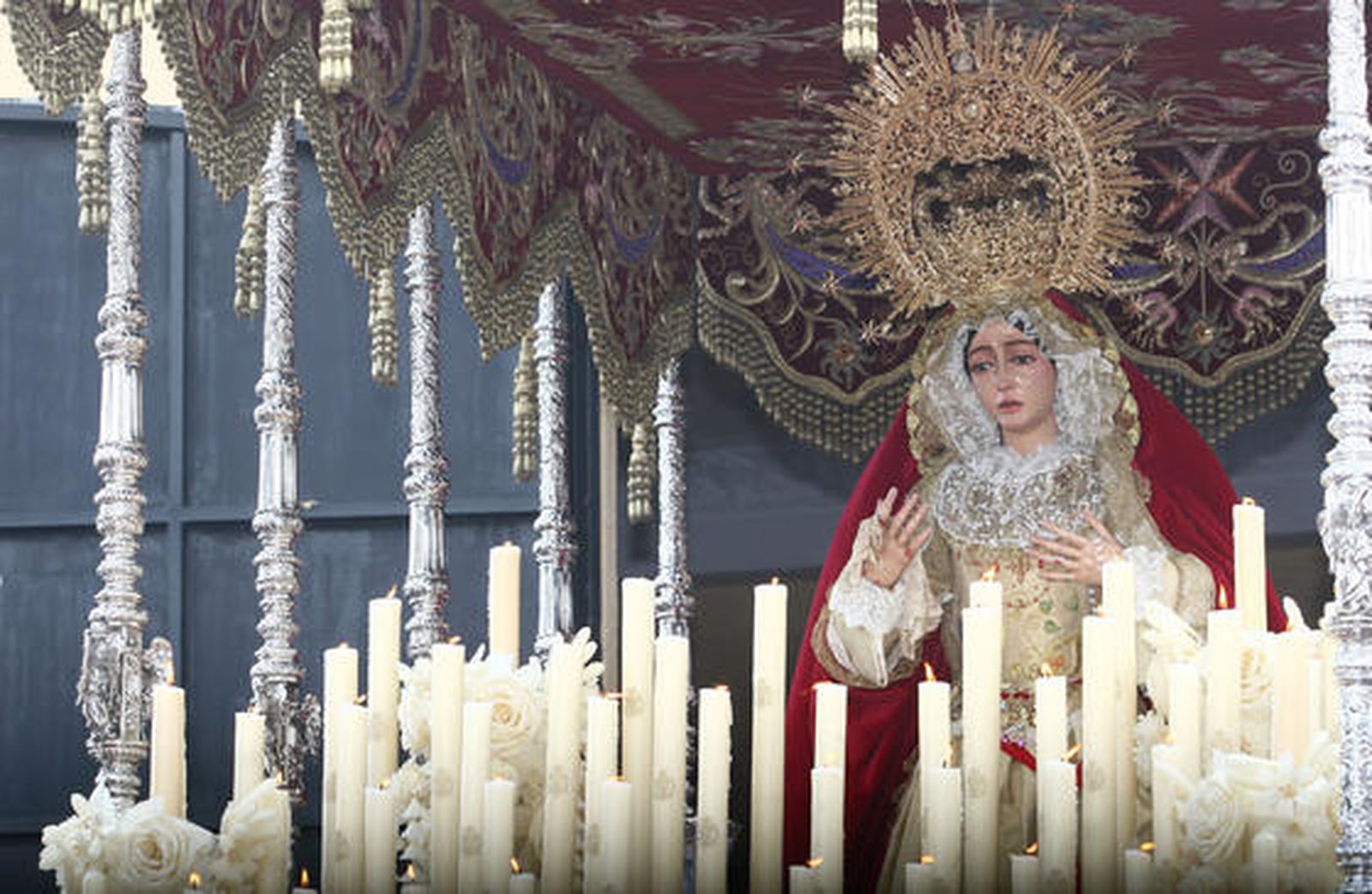 Cautivo.

Foto: Josué Correa