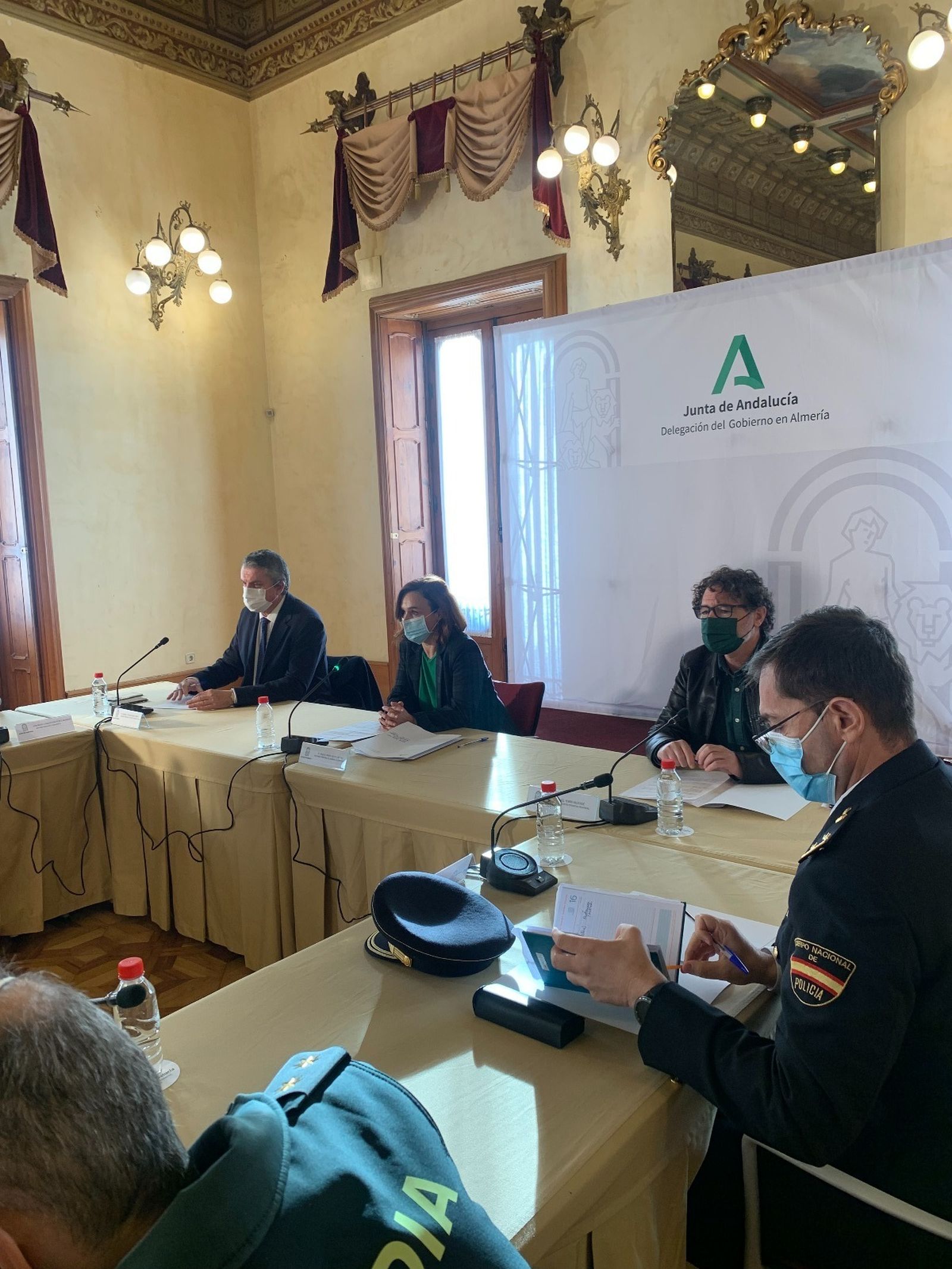 La delegada territorial durante la reunión del Comité Asesor del Infoca