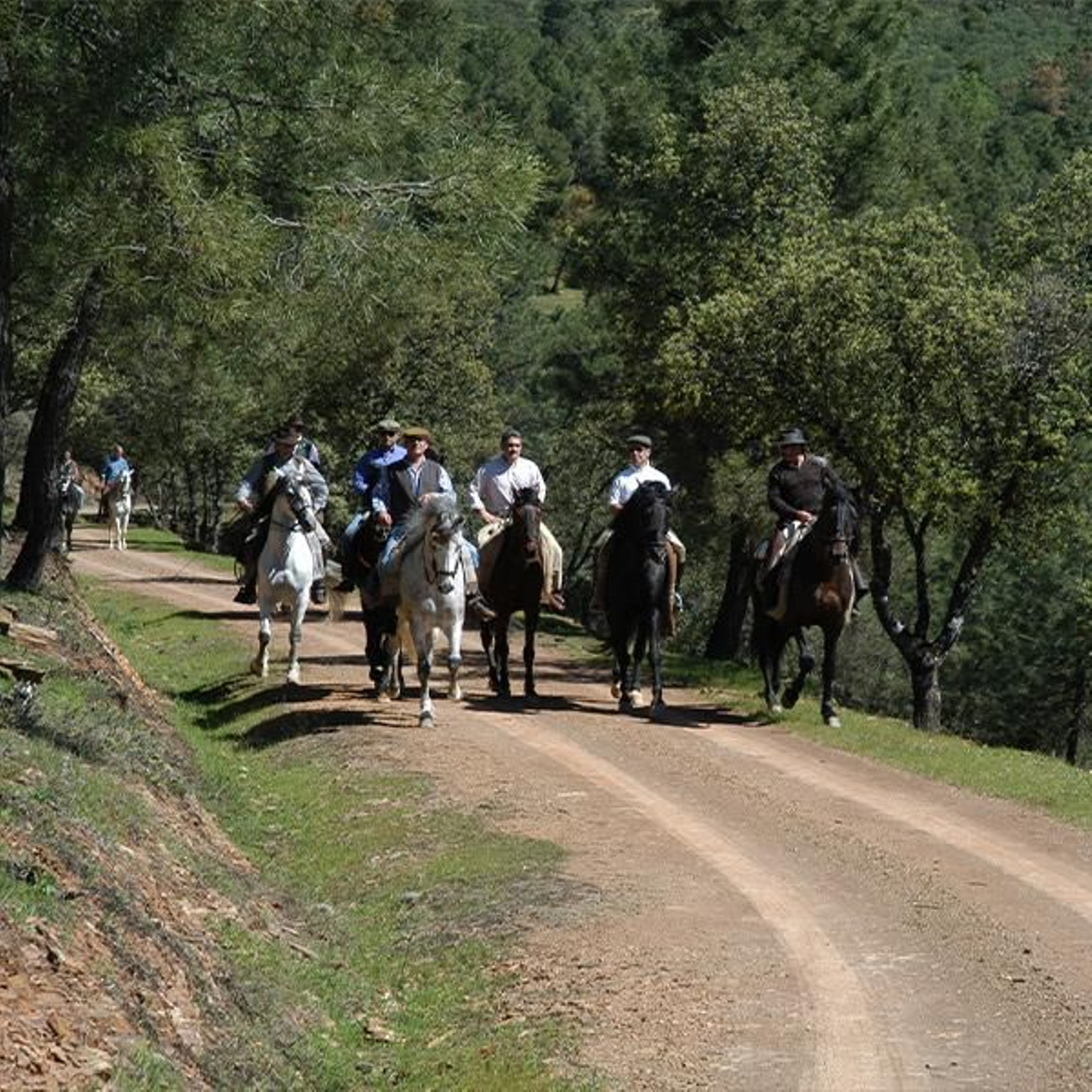 Ruta ecuestre, en Sierra Morena.