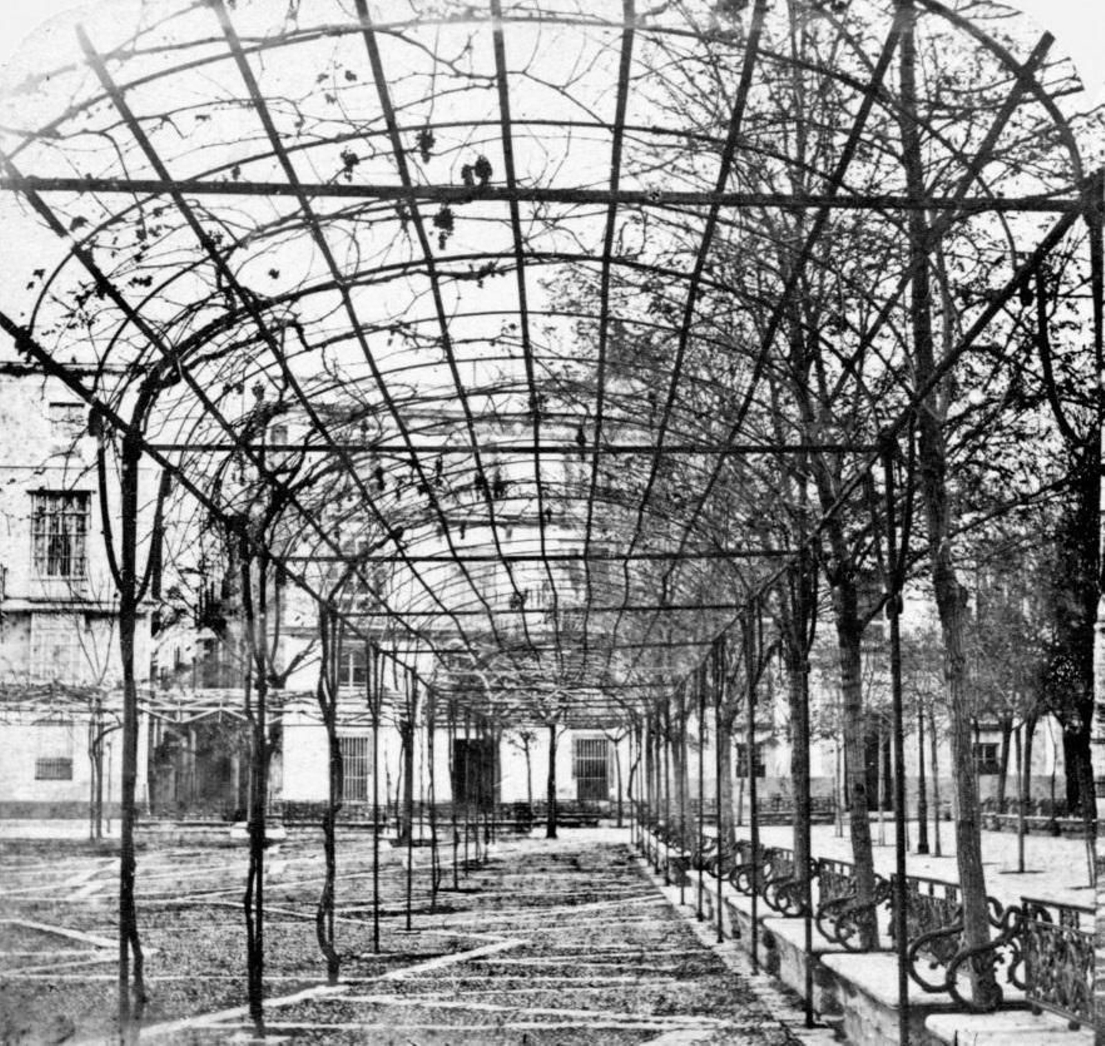 Primera fotografía de la plaza por Gaudin en 1856 donde vemos el emparrado en dirección a la Casa Pinillos con el actual museo a la derecha.