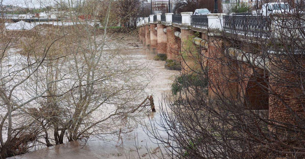 El Consejo de Ministros reconoce cinco emergencias graves en Andalucía desde noviembre