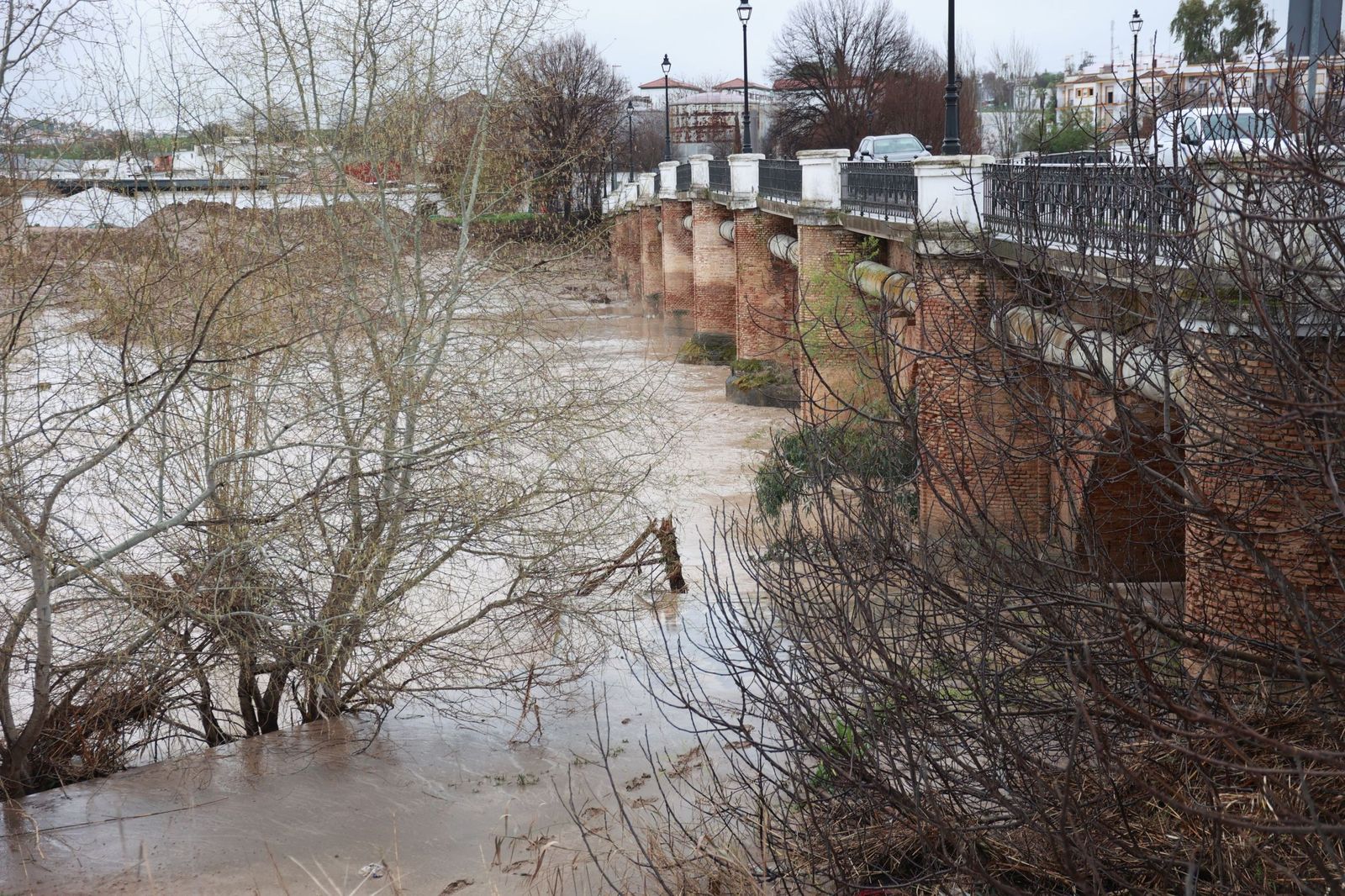 El río Guadalquivir tiene todavía puntos en nivel rojo aunque el nivel de las aguas está bajando.