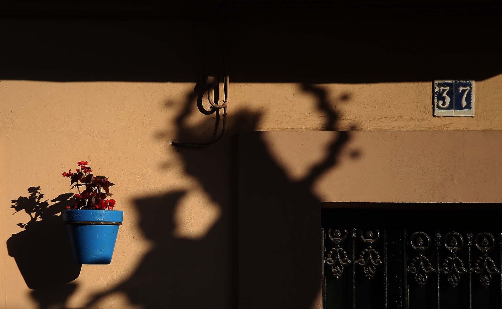 Fotos de la procesión de María Auxiliadora en Algeciras