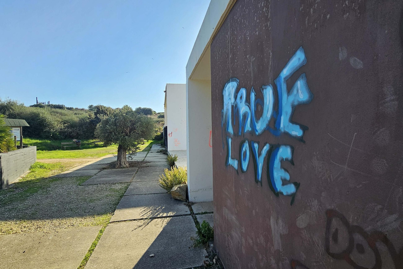 Fotografías del estado del Parque del Centenario de Algeciras