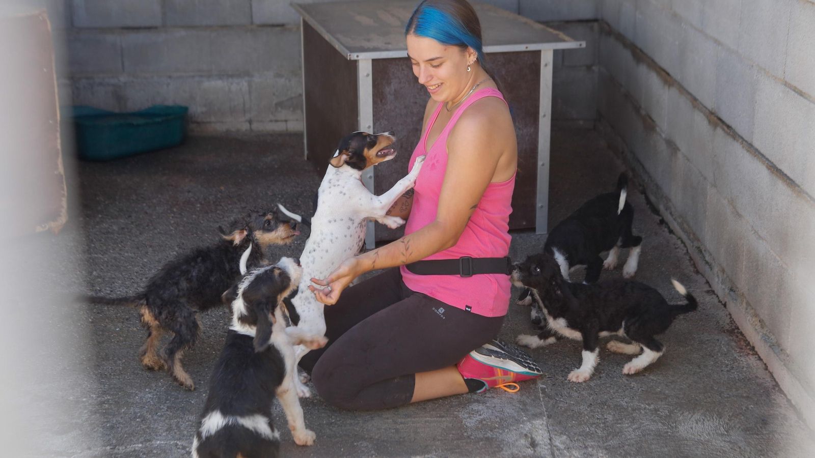 Una voluntaria con varios perros en La Línea.