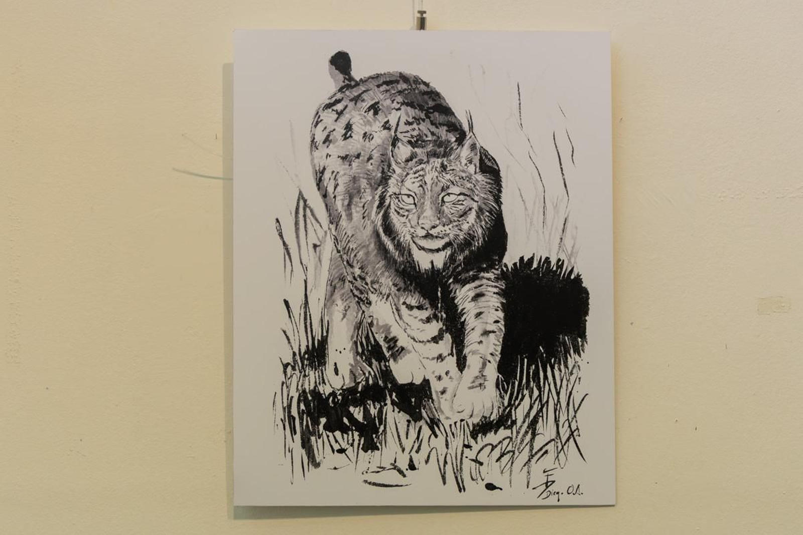 Exposición Los pinceles del lince ibérico, en imágenes