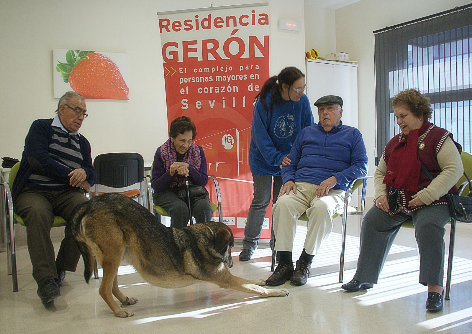 Más de 20 años facilitando el día a día a los mayores