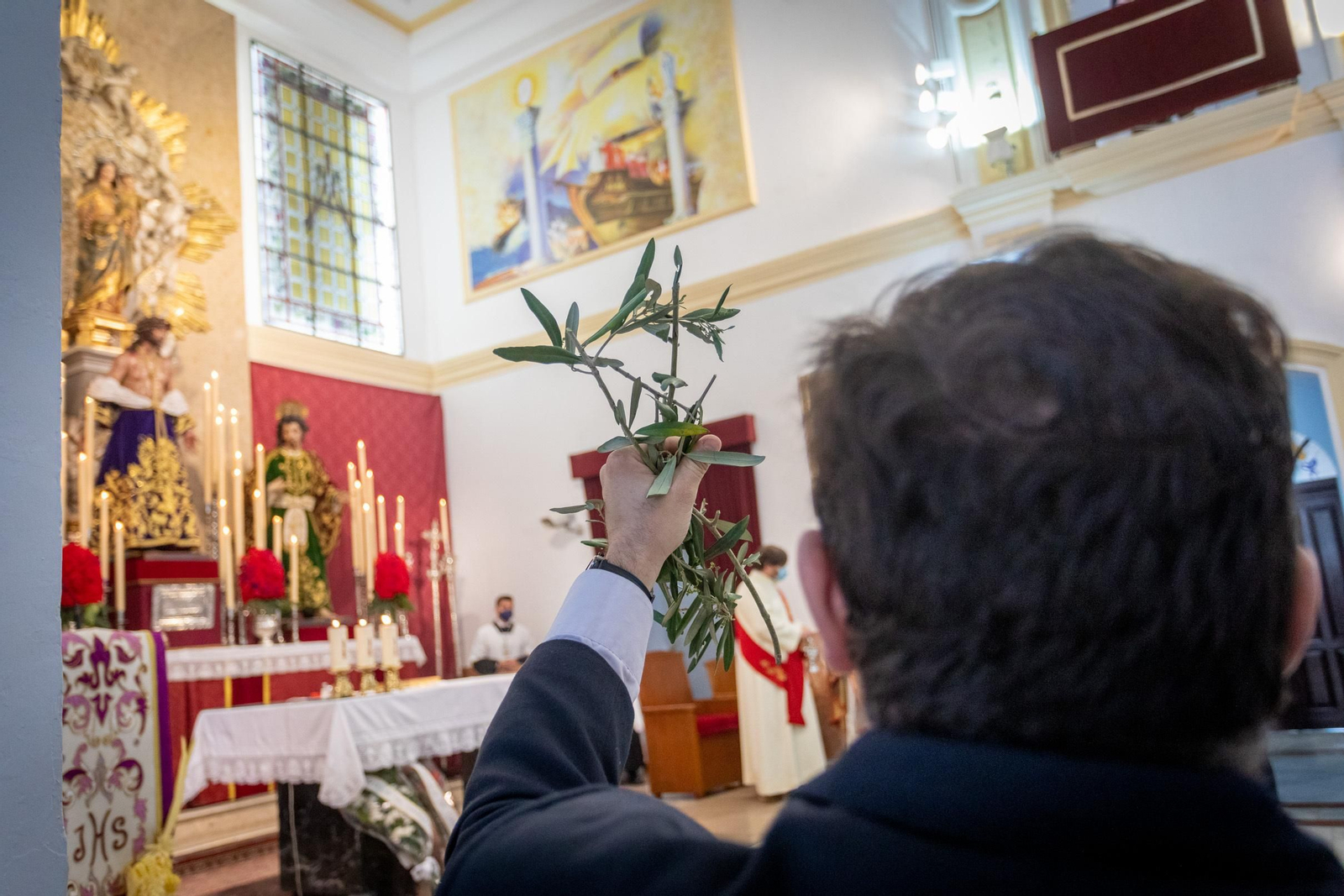 Las imágenes del Domingo de Ramos en Cádiz