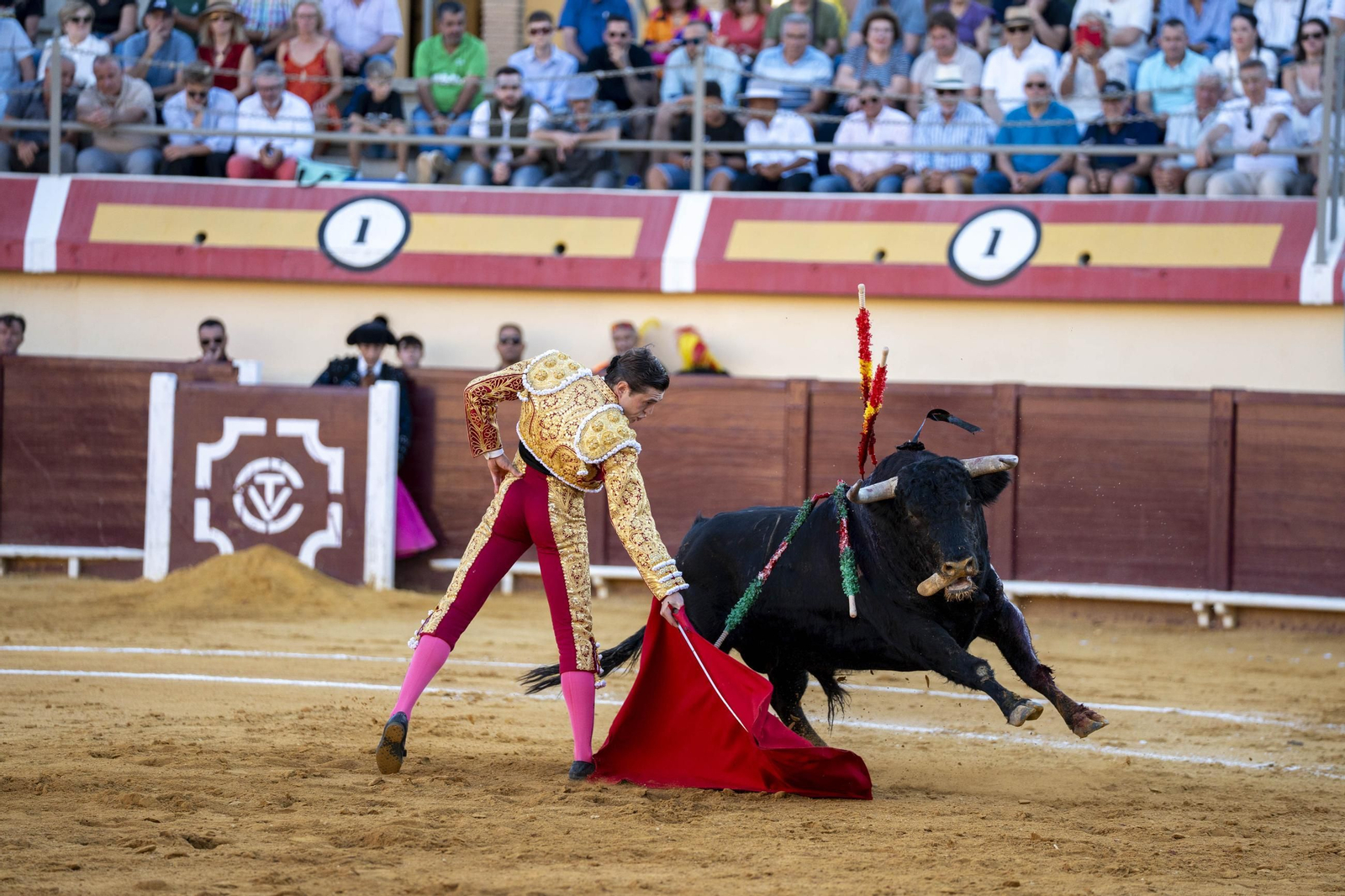 Las imágenes de los toros en Vera