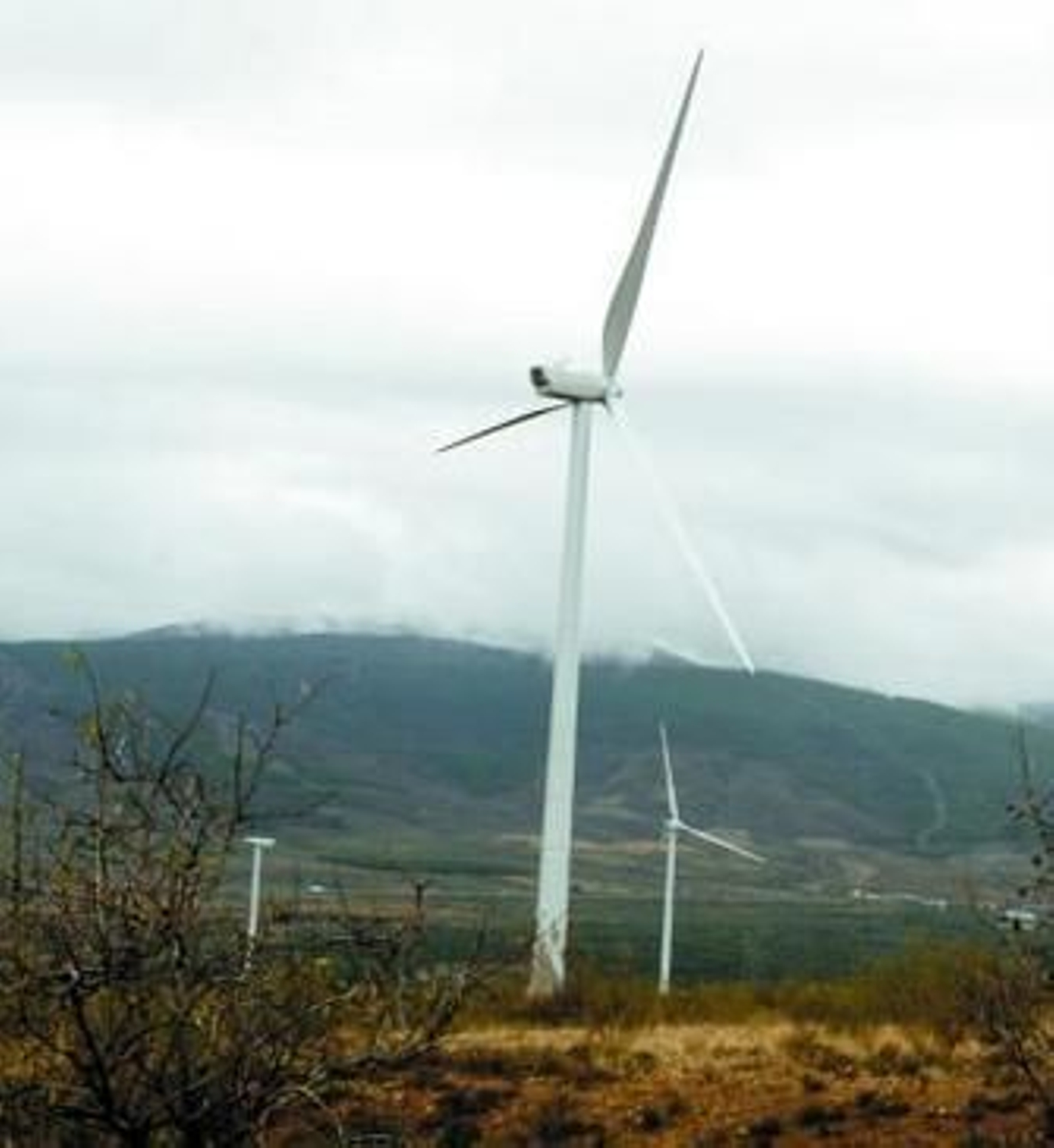 Las renovables necesitan volcar su energía generada a la red.