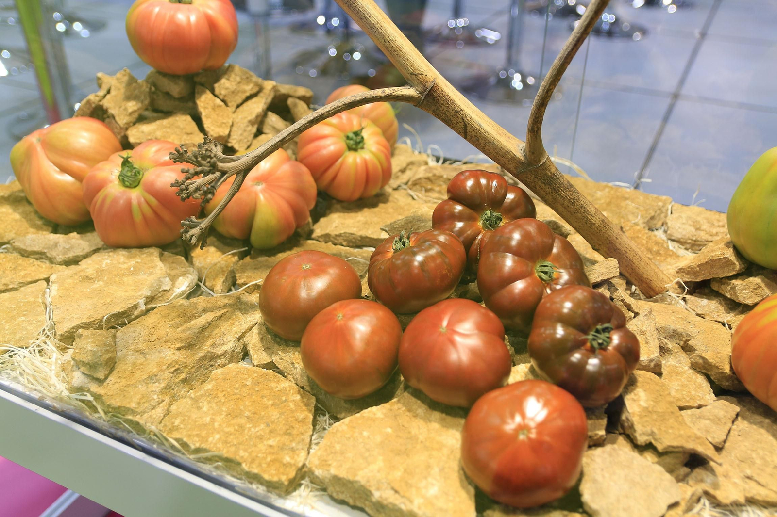 Inauguración de la Infoagro Exhibition 2023