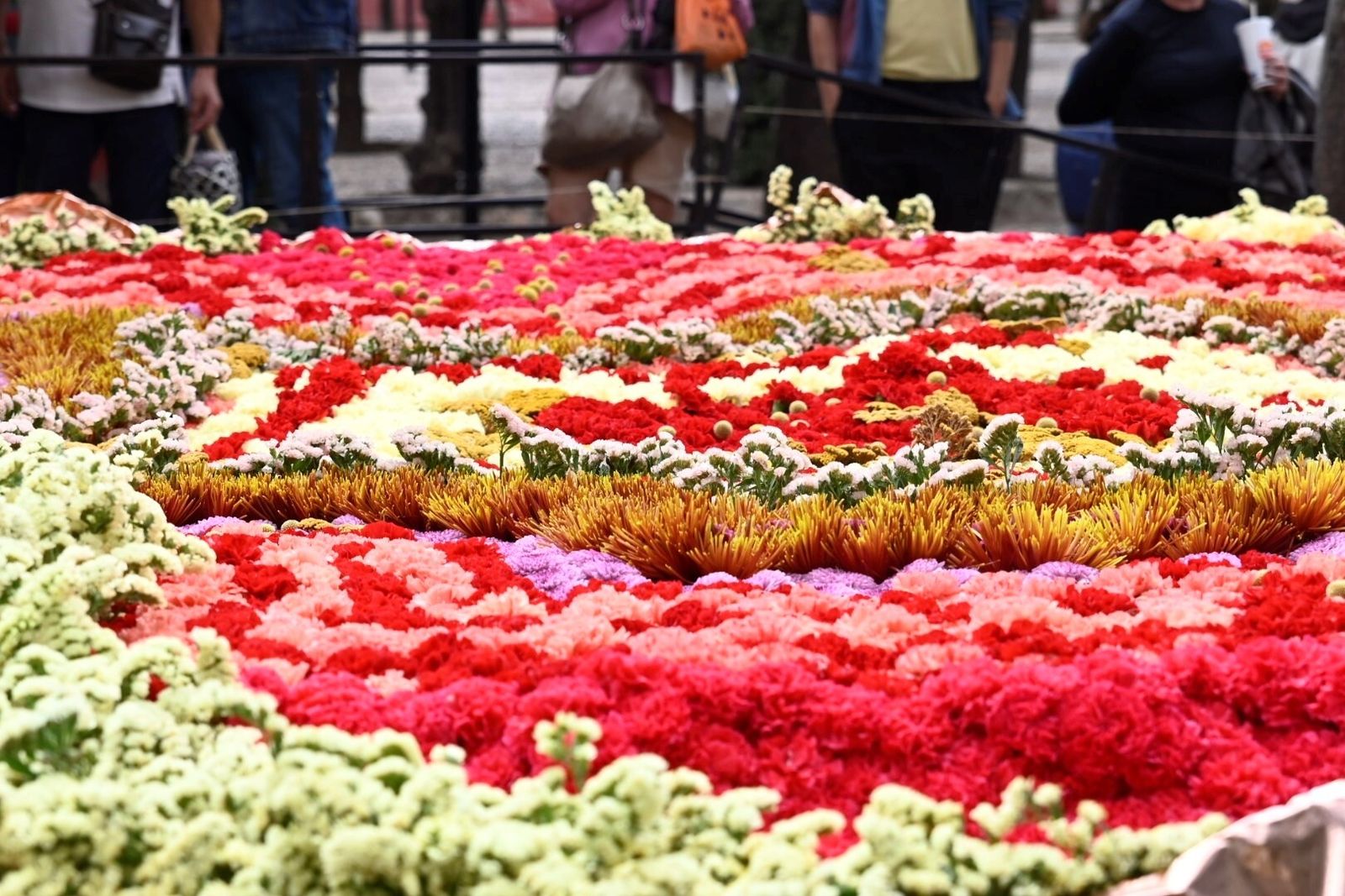 Arranca Flora 2023: estas son las mejores imágenes