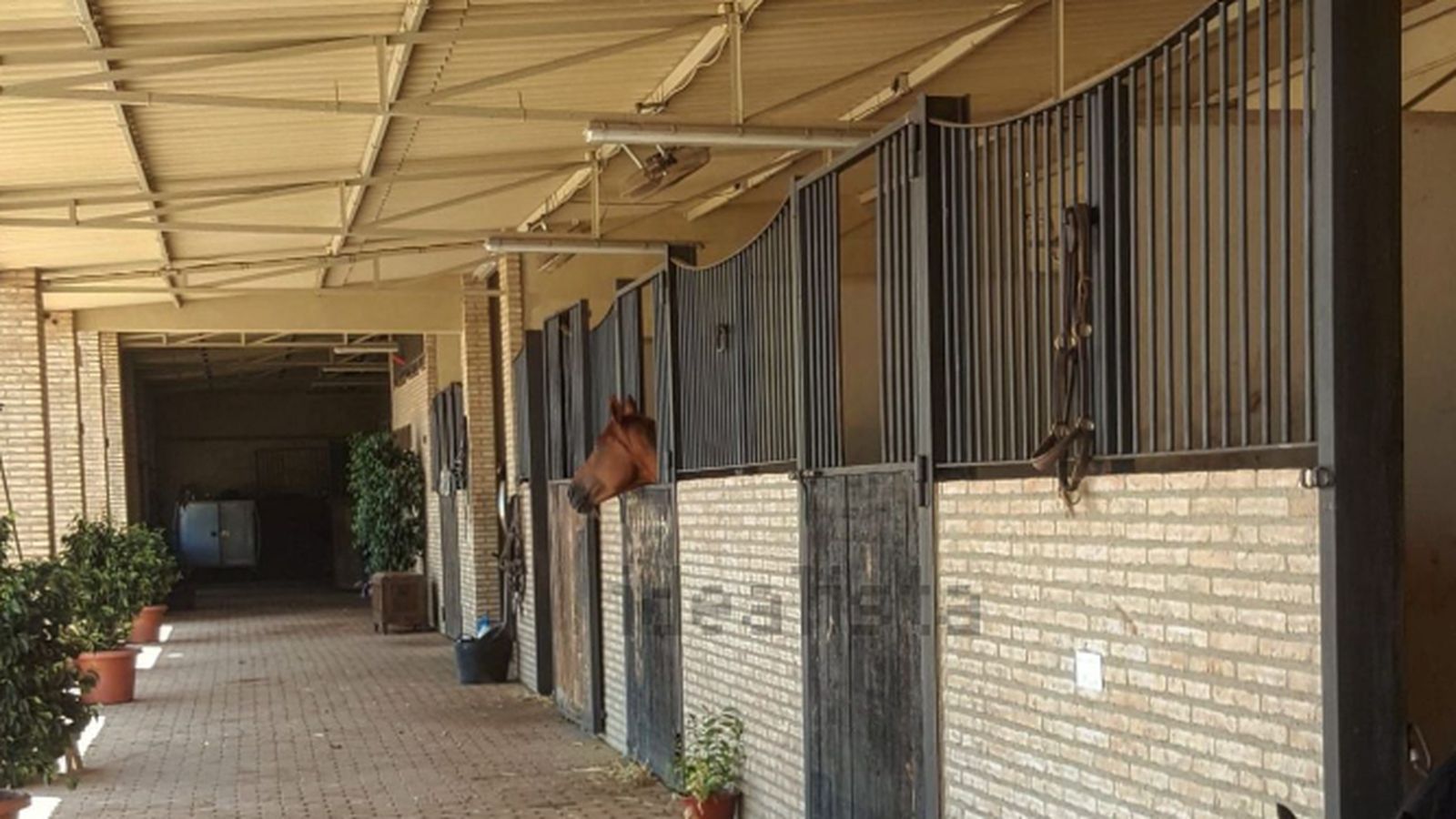 Imagen de la finca rústica en la carretera de Arahal