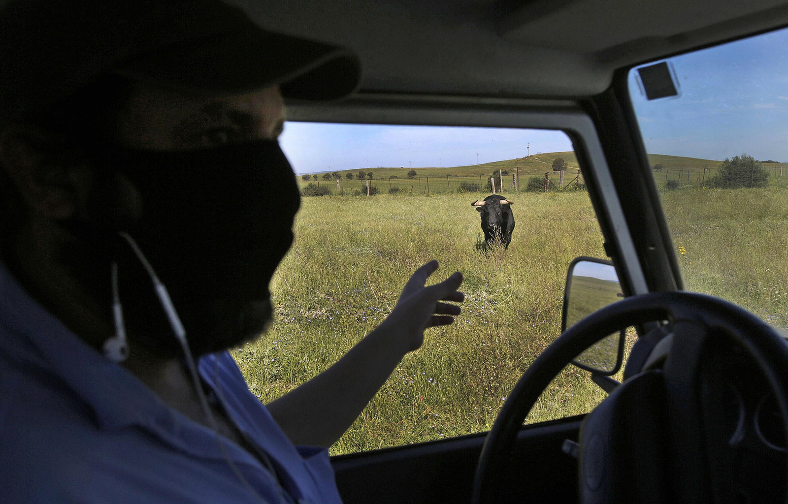 Mas cornadas da el virus, visita a la ganadería de Nuñez La Palmosilla
