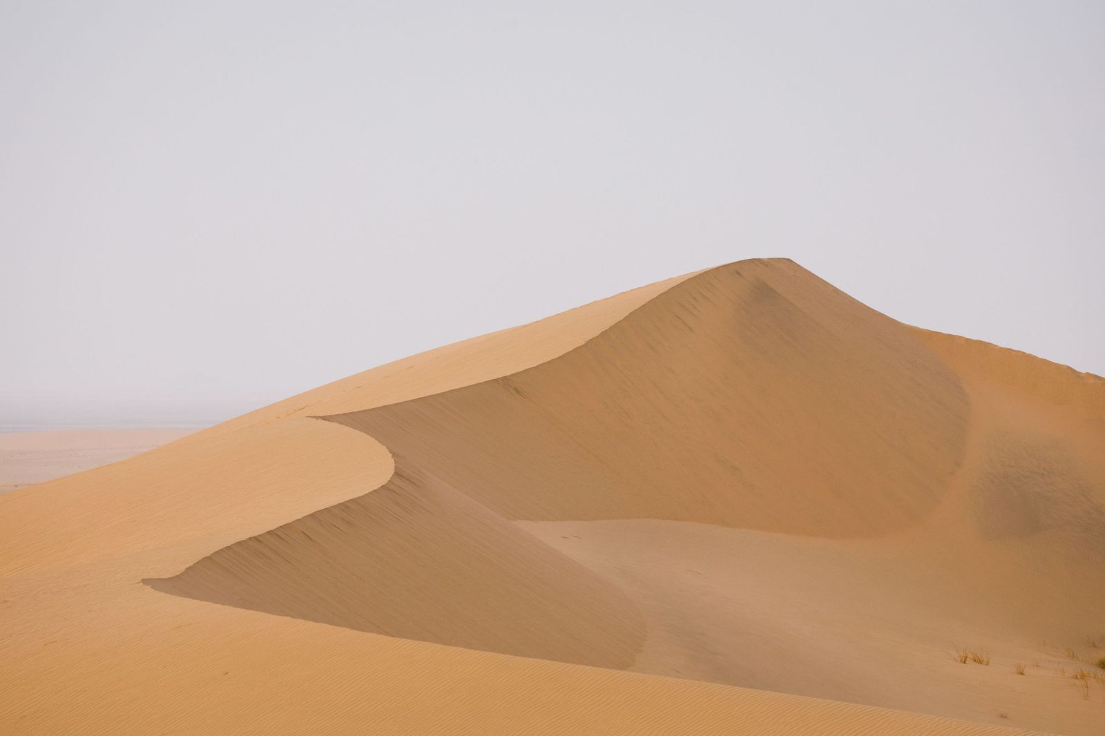 Las mejores fotos del Rally Dakar | Décima etapa