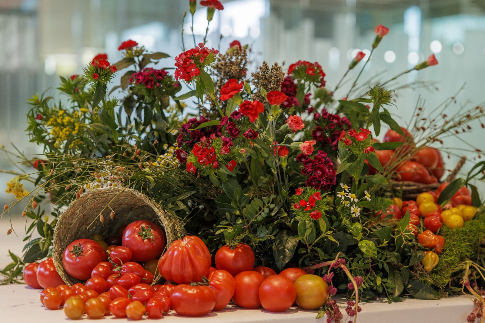 El Congreso Tomeet de Rijk Zwaan, en imágenes