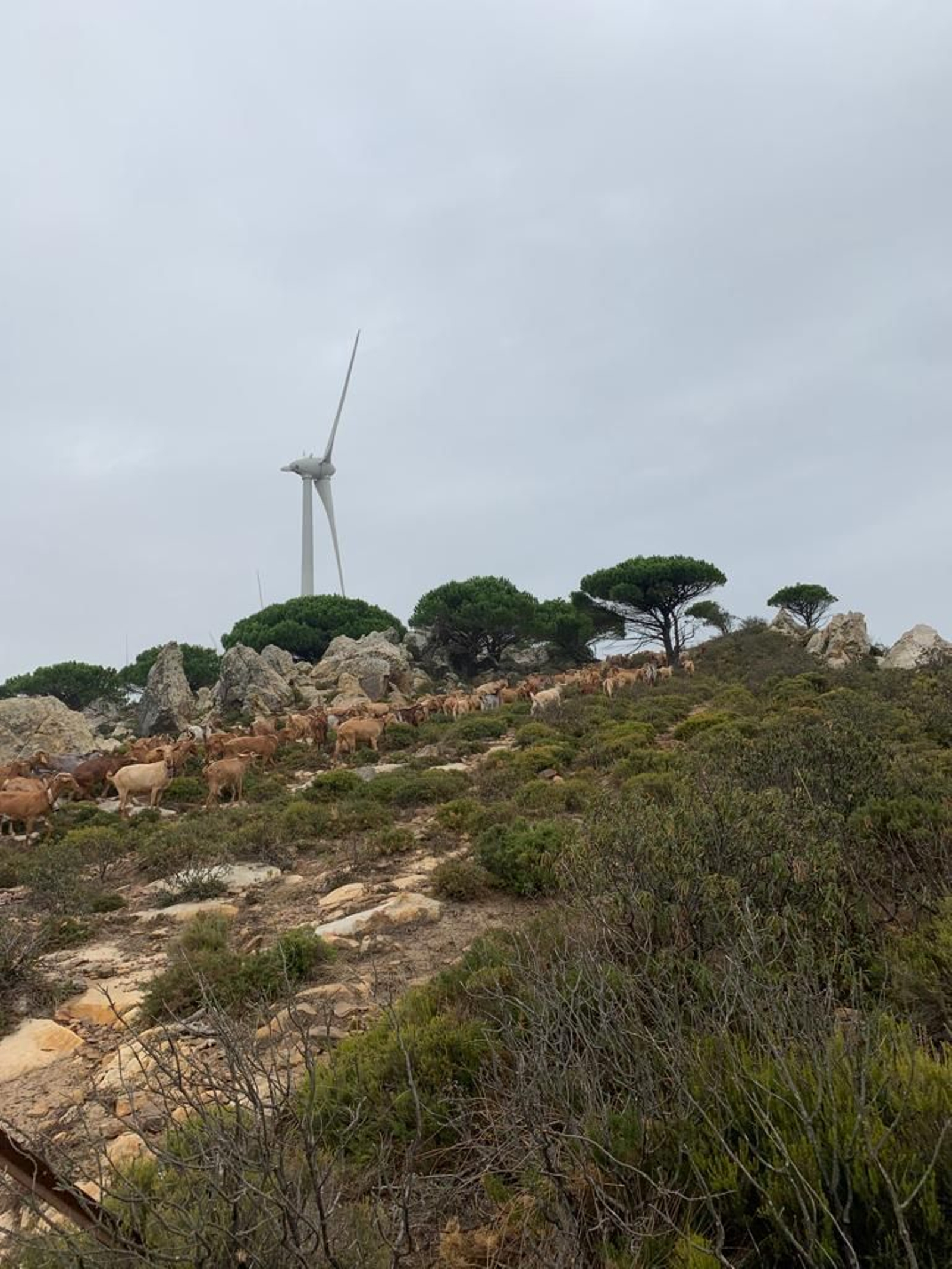 Fotos de la Ruta del Buda.